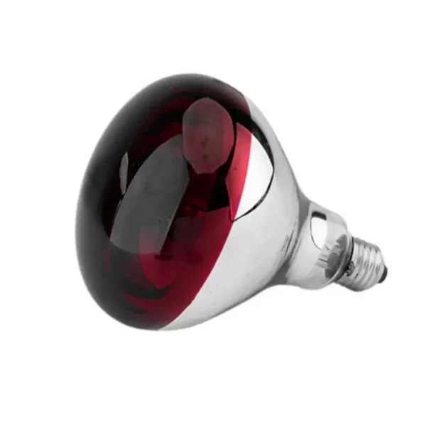 لمبة أشعة تحت حمراء 250 واط